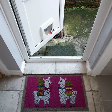 Falconer Street * York